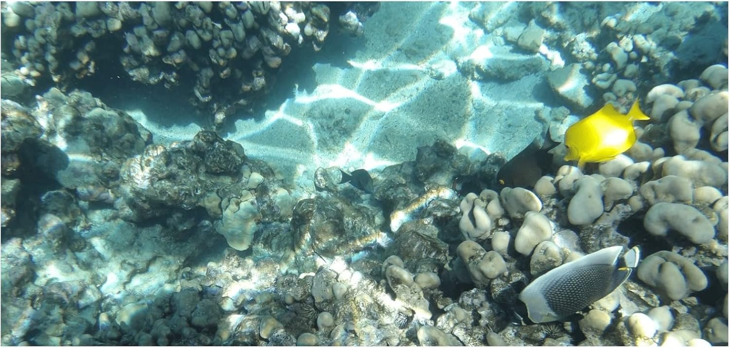 KODAK PIXPRO WPZ2 Rugged Waterproof Shockproof Dustproof WiFi Digital Camera 16MP 4X Optical Zoom 1080P Full HD Video Vlogging Camera 2.7" LCD (Yellow) - Image 7