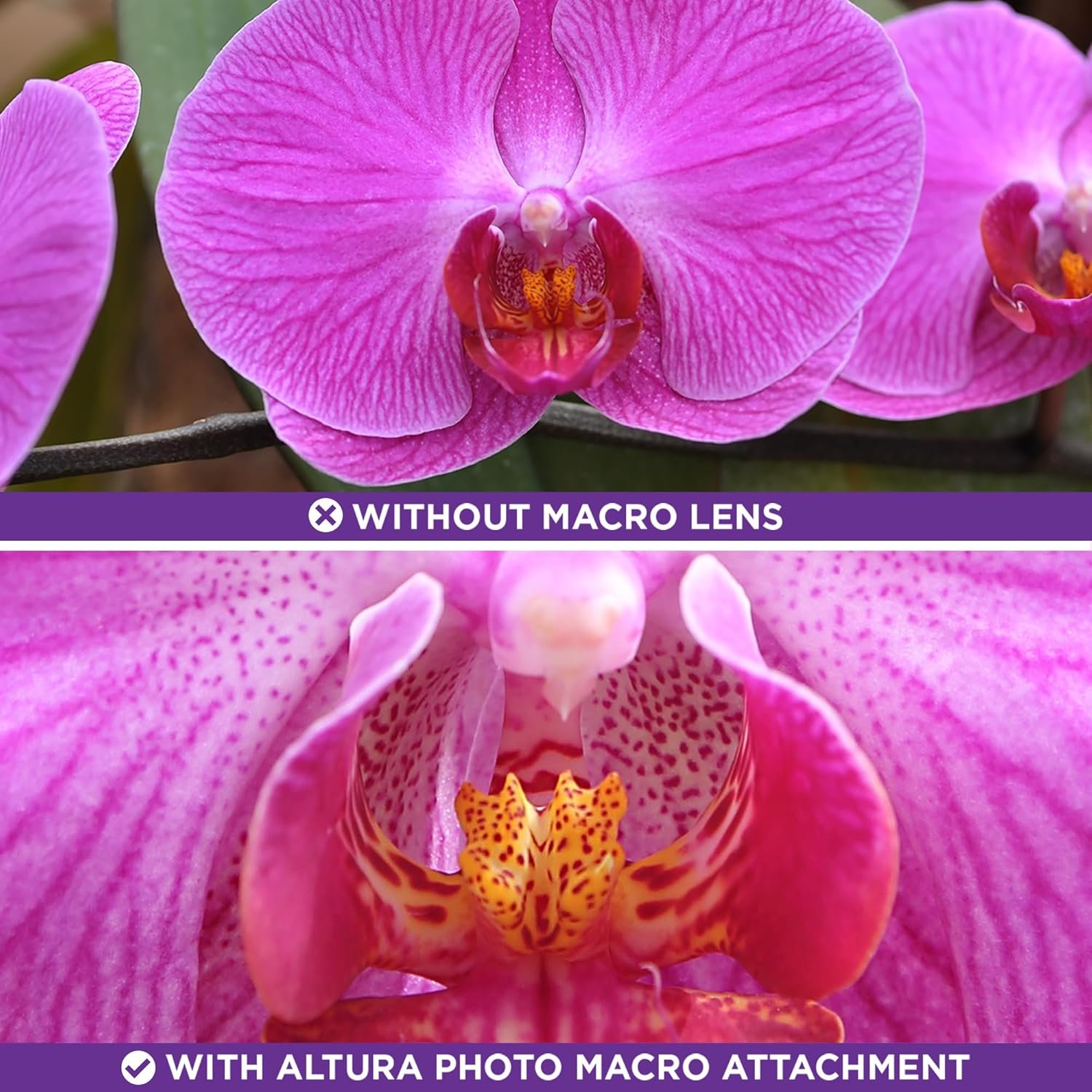 58MM 0.43x Altura Photo Professional HD Wide Angle Lens (w/Macro Portion) for Canon EOS 70D 77D 80D 90D Rebel T8i T7 T7i T6i T6s T6 SL2 SL3 DSLR Cameras - Image 8